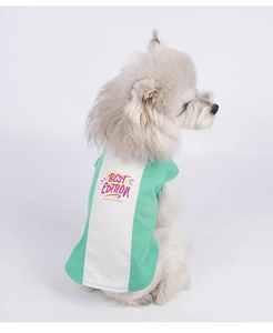 Detail of green and white color-block dog shirt featuring BEST EDITION printed text