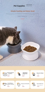 Close-up of inclined resin bowls with kibble showing ergonomic cervical protection design
