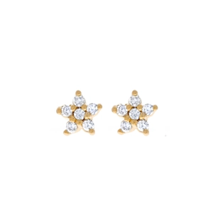 Detail of star-shaped stud earrings with gold plating and clear zircon stones