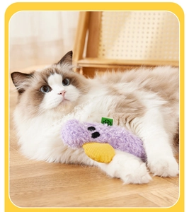 Ragdoll cat playing with purple plush chew toy on wooden floor in cozy home setting