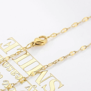 Detail van de gouden titanium ketting met karabijnsluiting en verstelbaar verlengstukje