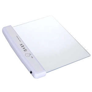 Portable LED reading light with transparent plate and protective blue light filter
