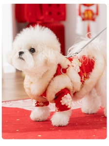 Detail of red dog New Year vest with floral embroidery and white faux fur trim collar