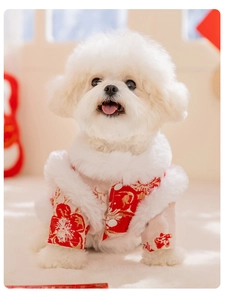 Detailed close-up of pet New Year tang suit with gold patterns and white faux fur trim