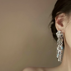 Vue détaillée de boucles d'oreilles rose argentée avec de longs glands métalliques
