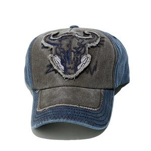 Close-up of vintage bull skull embroidery and frayed edge detail on baseball cap