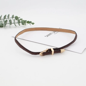 Macro shot of dark brown braided belt featuring polished gold buckle and metal tip accents