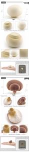Detailed views of realistic mushroom models including weight, size, and texture details