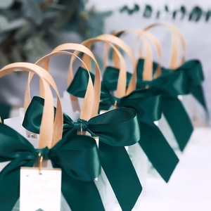 Frosted semi-transparent gift bag with green ribbon and Happy Teachers Day tag