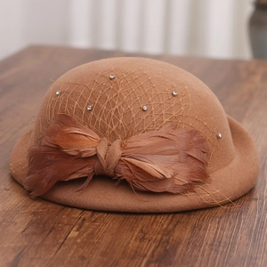 Detailed texture of camel wool felt hat with vintage feathers and mesh veil decoration