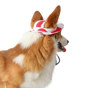 Detail of American flag pet sun hat with ear holes and adjustable strap on a corgi