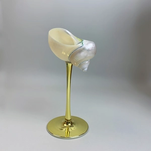 Macro shot of natural seashell craft mounted on elegant gold metal stand base