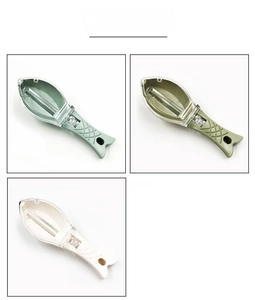 Fish scaler tool with transparent lid in light green, dark green, and off-white colors
