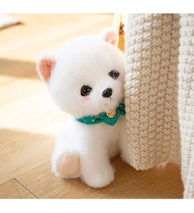 Close-up of white plush Pomeranian puppy with green polka dot bow and gold bell