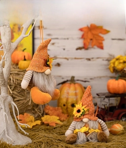 Detail showing two autumn gnome ornaments with knitted hats on a harvest pumpkin background