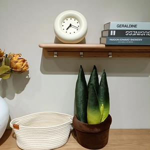 Plante serpent en peluche dans un panier tressé au décor intérieur de style nordique