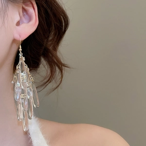 Detail view of crystal teardrop tassel earrings with golden hooks worn by a model
