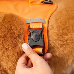 Adjustable orange dog harness with quick-release buckle shown on small pet dog