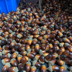 Bulk artificial acorns with textured caps and natural brown gradient for holiday decor
