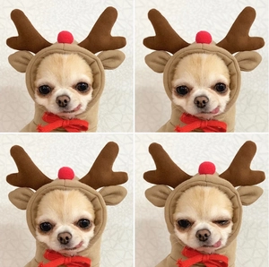 Detail of plush reindeer hoodie for dogs featuring 3D antlers and red nose decorations