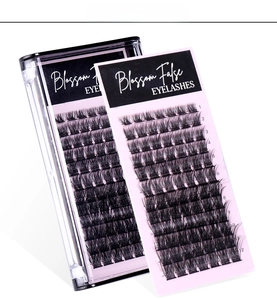 Macro detail of Blossom black 12 rows individual eyelashes in transparent display case