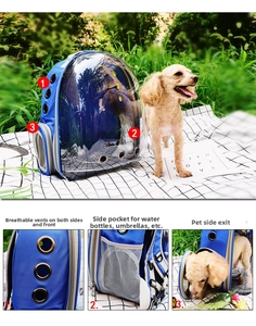 Detail view of pet capsule backpack with ventilation holes and side mesh storage pocket
