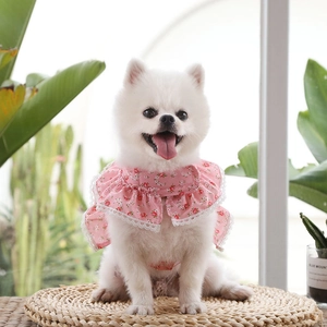 Close-up of pink floral pet bandana with white lace edging for small dogs and cats