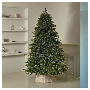 Close-up of a white woven rattan Christmas tree collar and lush green festive branches