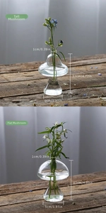 Detailed dimensions for tall and flat clear mushroom glass vases for home decor