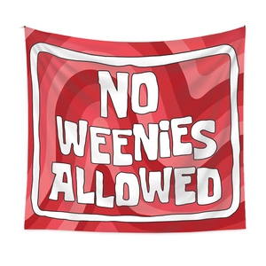 Detail of bohemian tapestry featuring NO WEENIES ALLOWED slogan on pink swirl