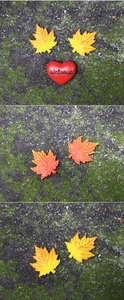 Detailed view of resin welcome sign with red heart and vibrant autumn maple leaf decor