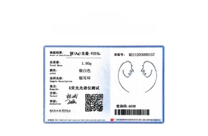 Official S925 sterling silver certification for abstract face design earrings