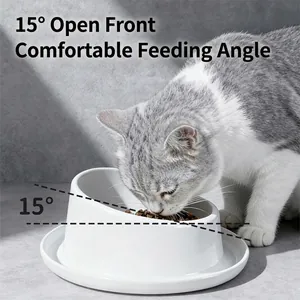 White ceramic tilted cat bowl with 15 degree angle and spill proof tray for pet neck protection