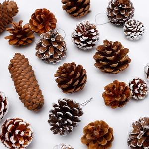 Lot de pommes de pin naturelles pour décoration de Noël en styles bois et blanc givré