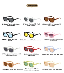 Grid view showing 12 different color options for retro square cat-eye sunglasses