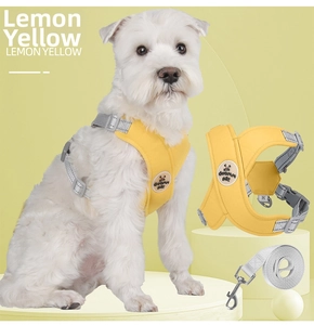 Detail of lemon yellow breathable mesh dog harness with reflective grey safety nylon leash