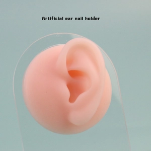 Close-up of silicone artificial ear model with clear acrylic stand for jewelry display