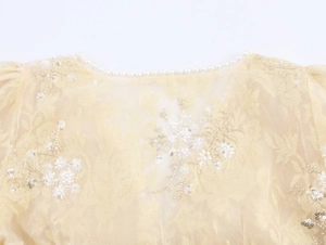 Macro shot of V-neck champagne lace top with pearl trim and sequined floral embroidery