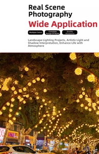 Dettaglio di luci a stringa a sfera LED giallo caldo che illuminano alberi in un parco