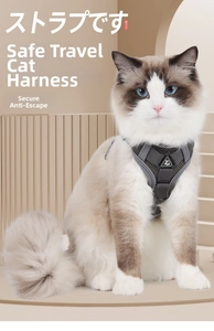 Detail of gray mesh cat harness on cat showing breathable fabric and reflective safety design