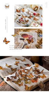 Detail view of vintage butterfly PET stickers for scrapbooking with translucent finish
