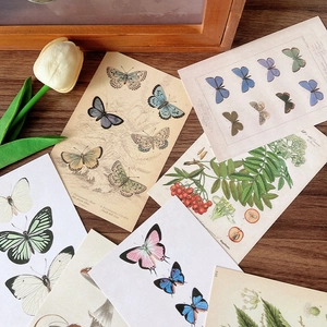 Vintage forest botanical cards set featuring butterfly and plant scientific illustrations