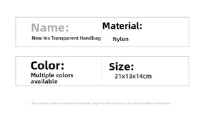 Detailed size chart for the transparent nylon handbag measuring 21x13x14cm with handle