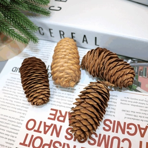Natural pine cones arranged on vintage books and newspaper for rustic home decoration