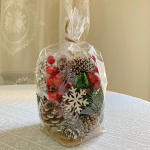 DIY Christmas decoration set with frosted pine cones, berries and wooden snowflakes