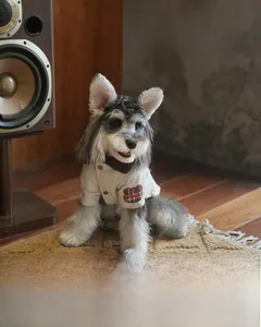 Close-up of stylish pet workwear jacket with corduroy collar and bear embroidery
