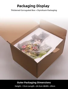 Garden statue safety packaging showing 24.5x20x13cm box with protective foam lining