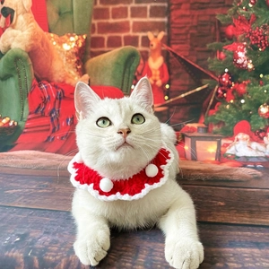 Collier de Noël tricoté pour animaux avec pompon dans un décor festif de fête