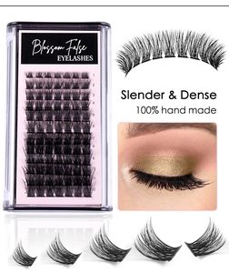 Macro detail of individual cluster eyelashes featuring natural density and slender tips