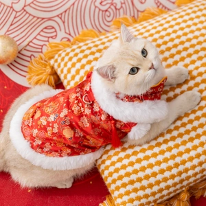 Oriental Cat New Year Tang Suit Brocade Pet Vest With Plush Trim Tassels Small Dogs Winter Warm Festive Embroidery Red